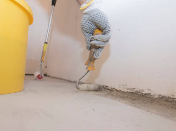 Best Termite Inspection and Treatment  in Pigeon, MI